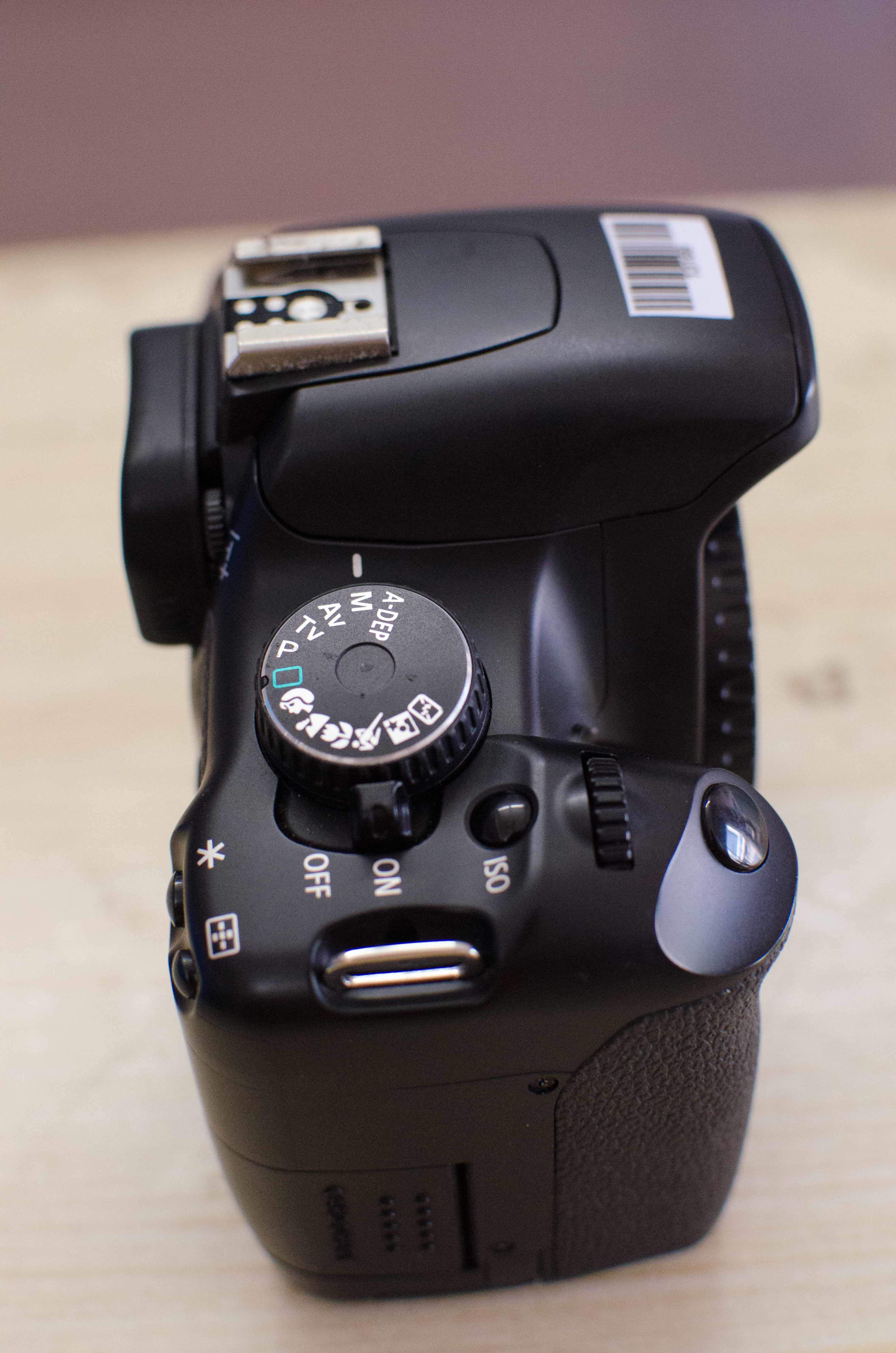 Canon 450D 2.jpg
