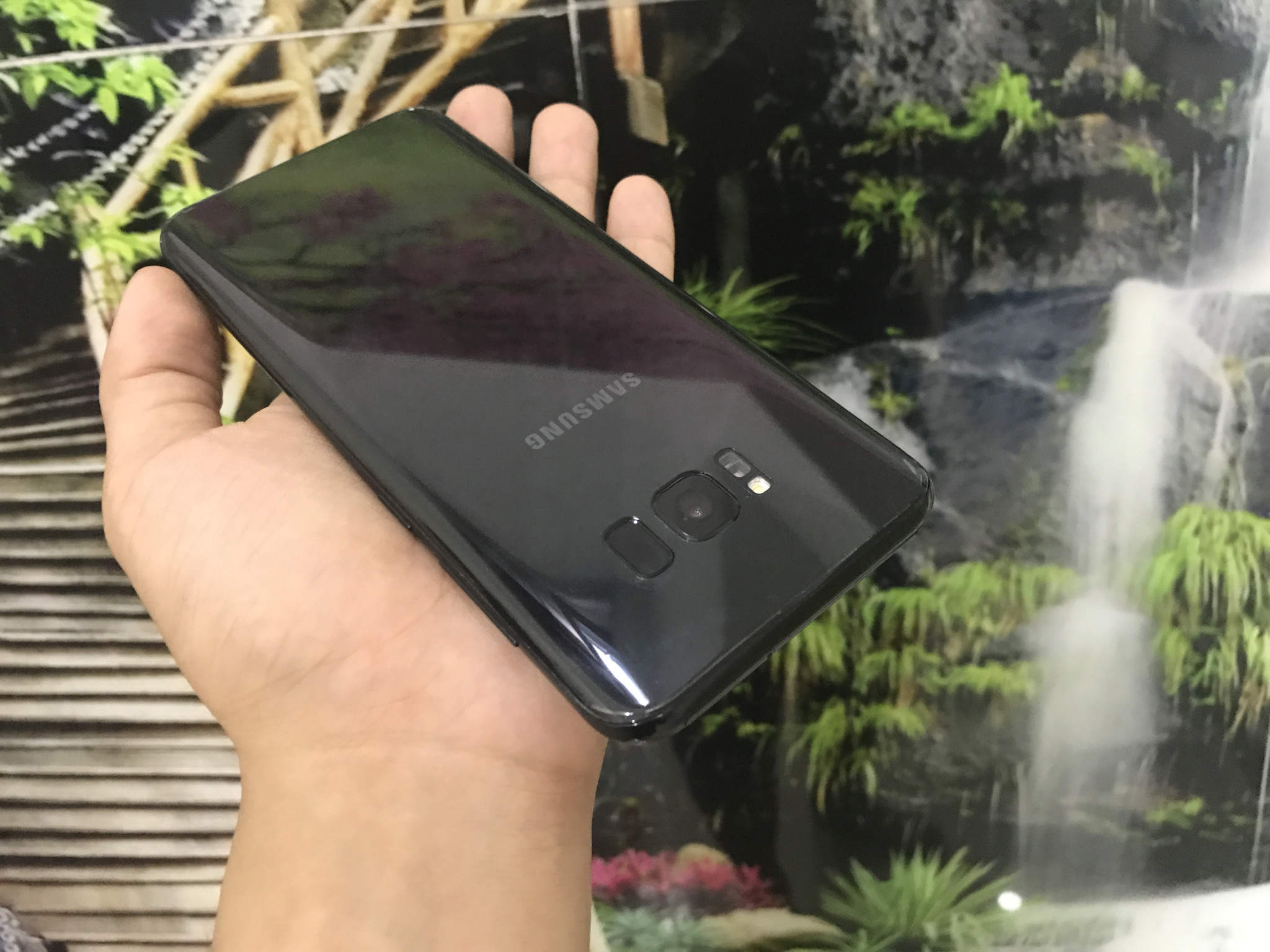 f960ee8972cf9e91c7de.jpg