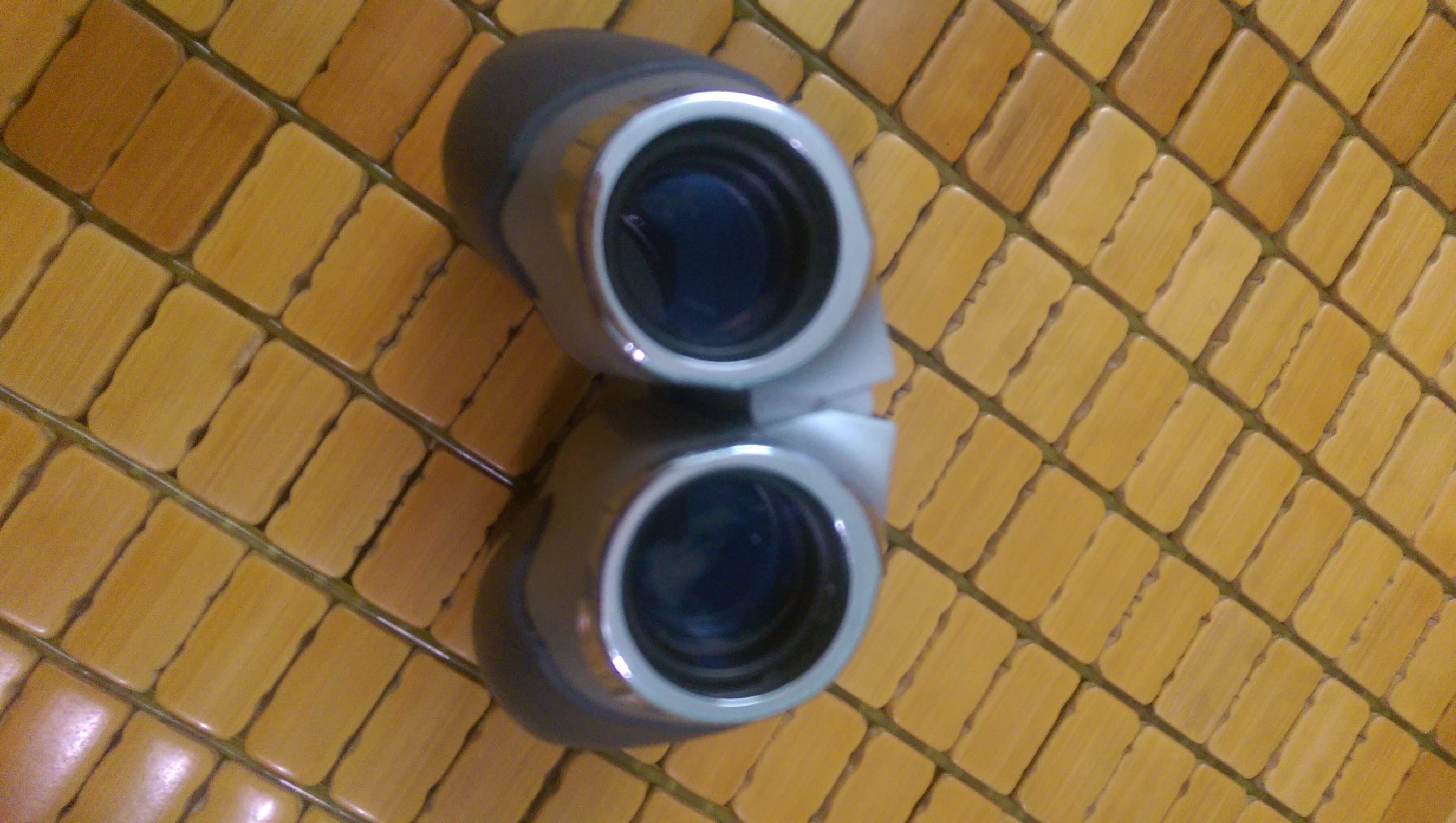 IMAG0005.jpg