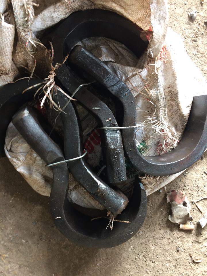 Ngáo cẩu tôn rèn.jpg