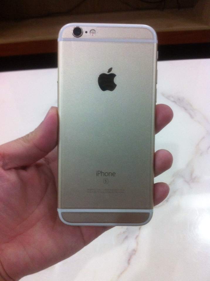 1509464843147.jpg