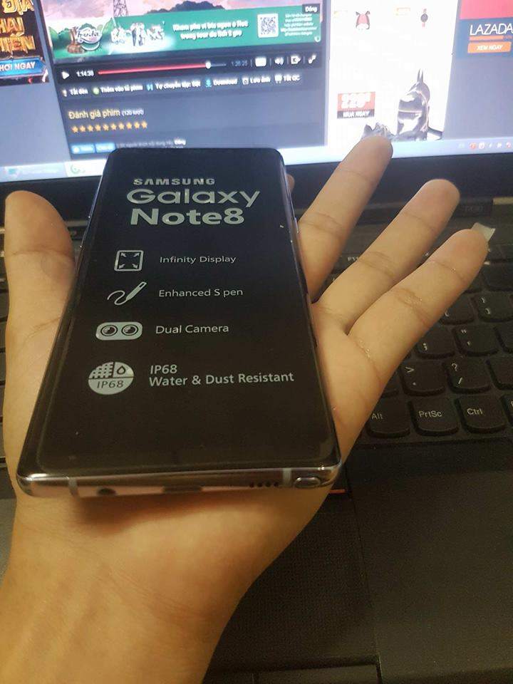 not4.jpg
