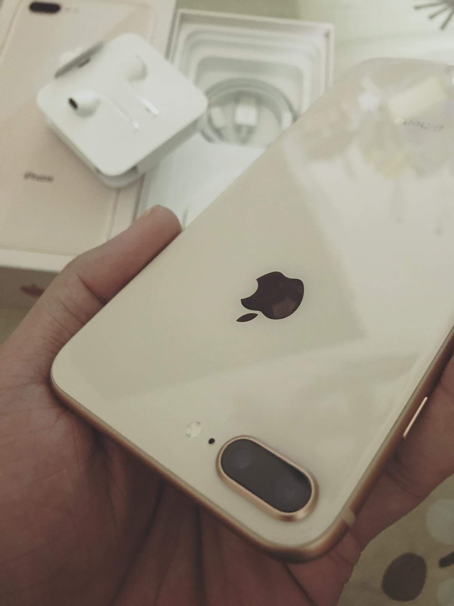 8plus vang 3.jpg