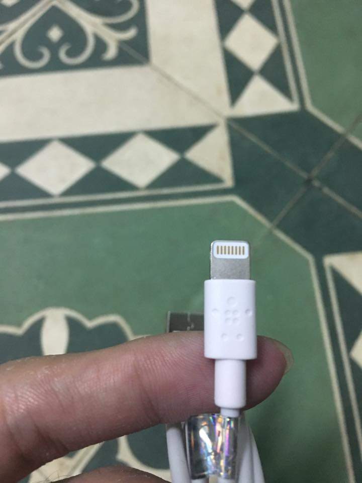 23755284_1023719291101701_7776283745532602878_n.jpg