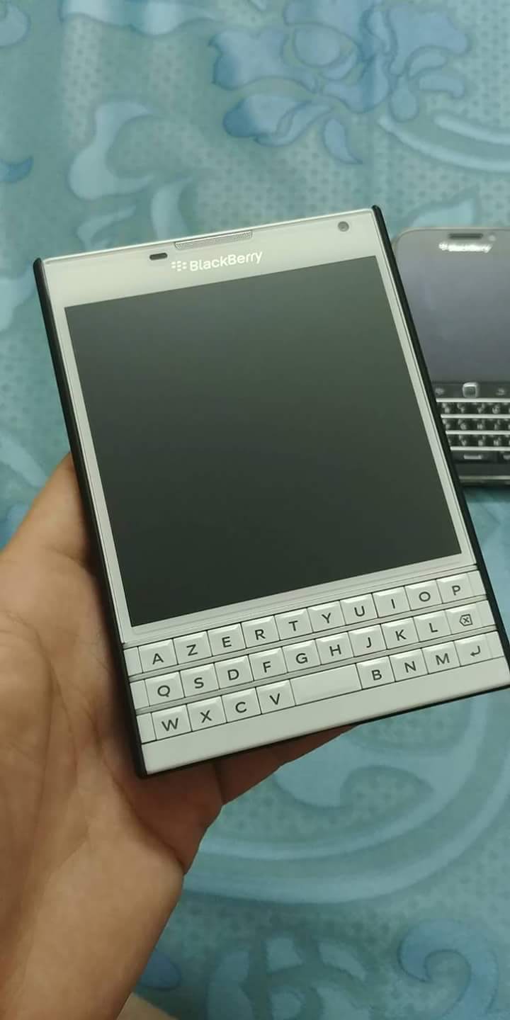 24116588_564348280573013_1031724719_o.jpg