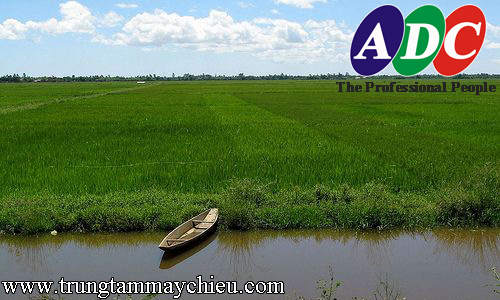 sua-may-chieu-quang-binh.jpg