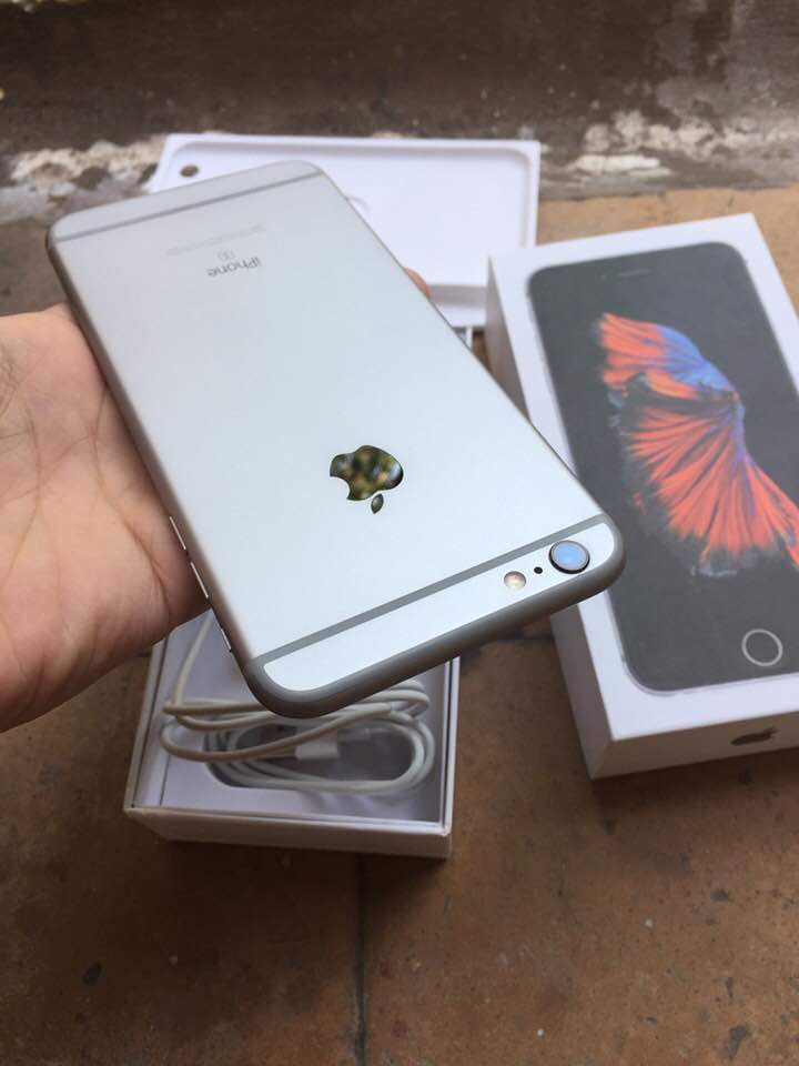 24862095_1403650449743956_4145177312451134704_n.jpg