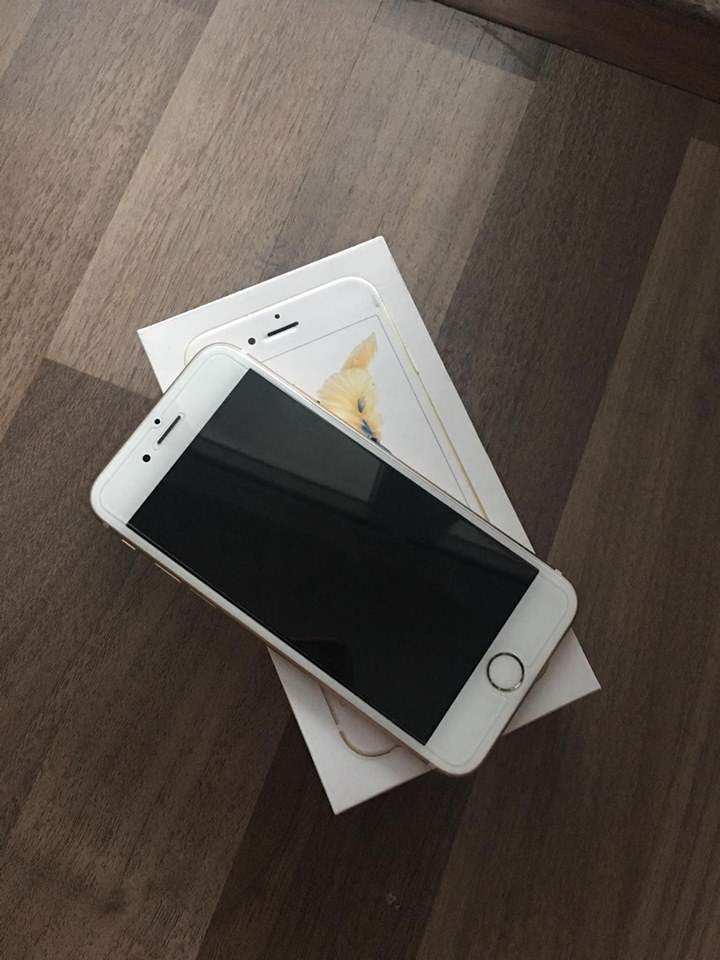 19225045_1312254532227171_9009270395764267939_n.jpg