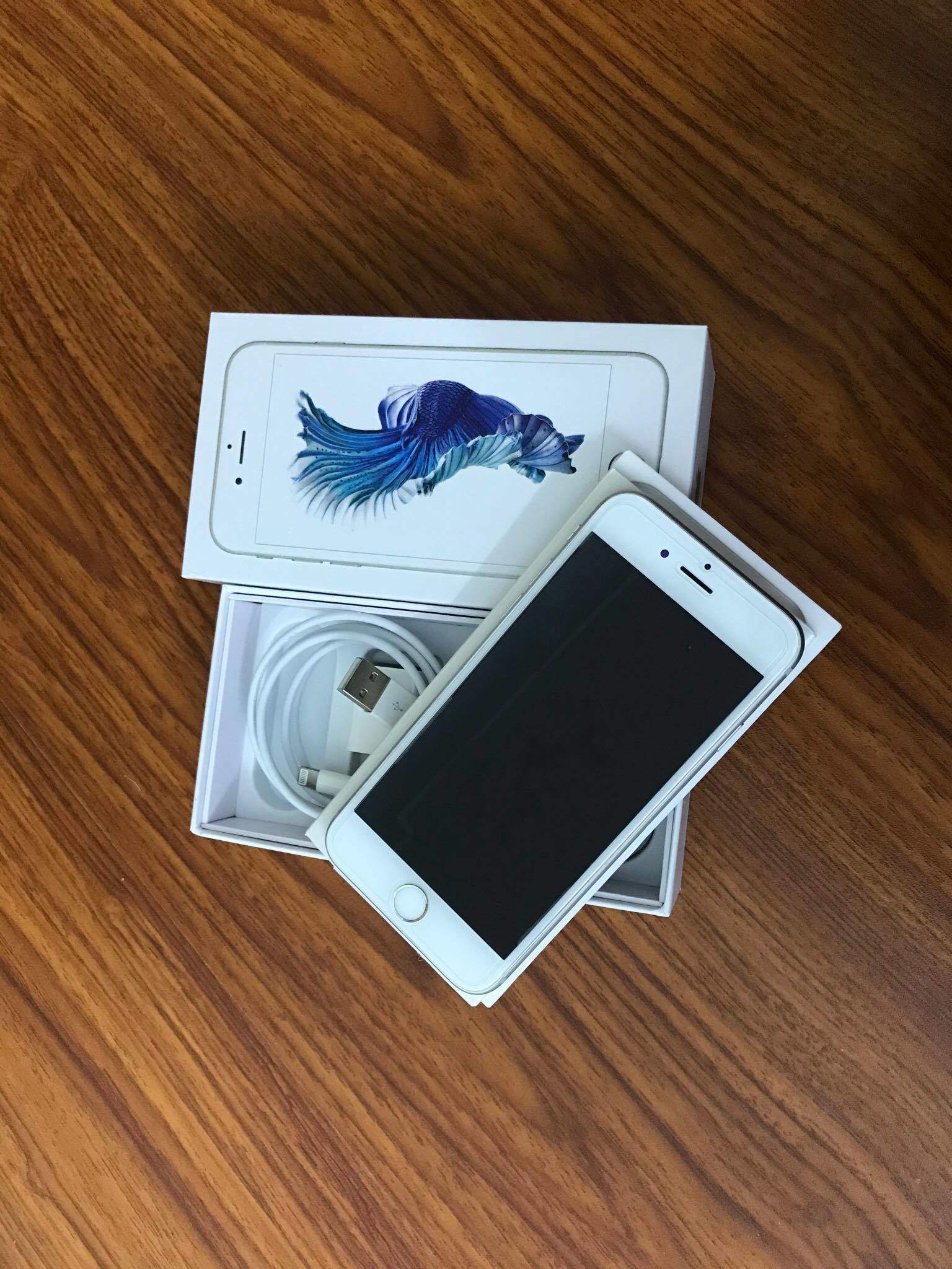 24739911_2021497901458869_1718239162_o.jpg