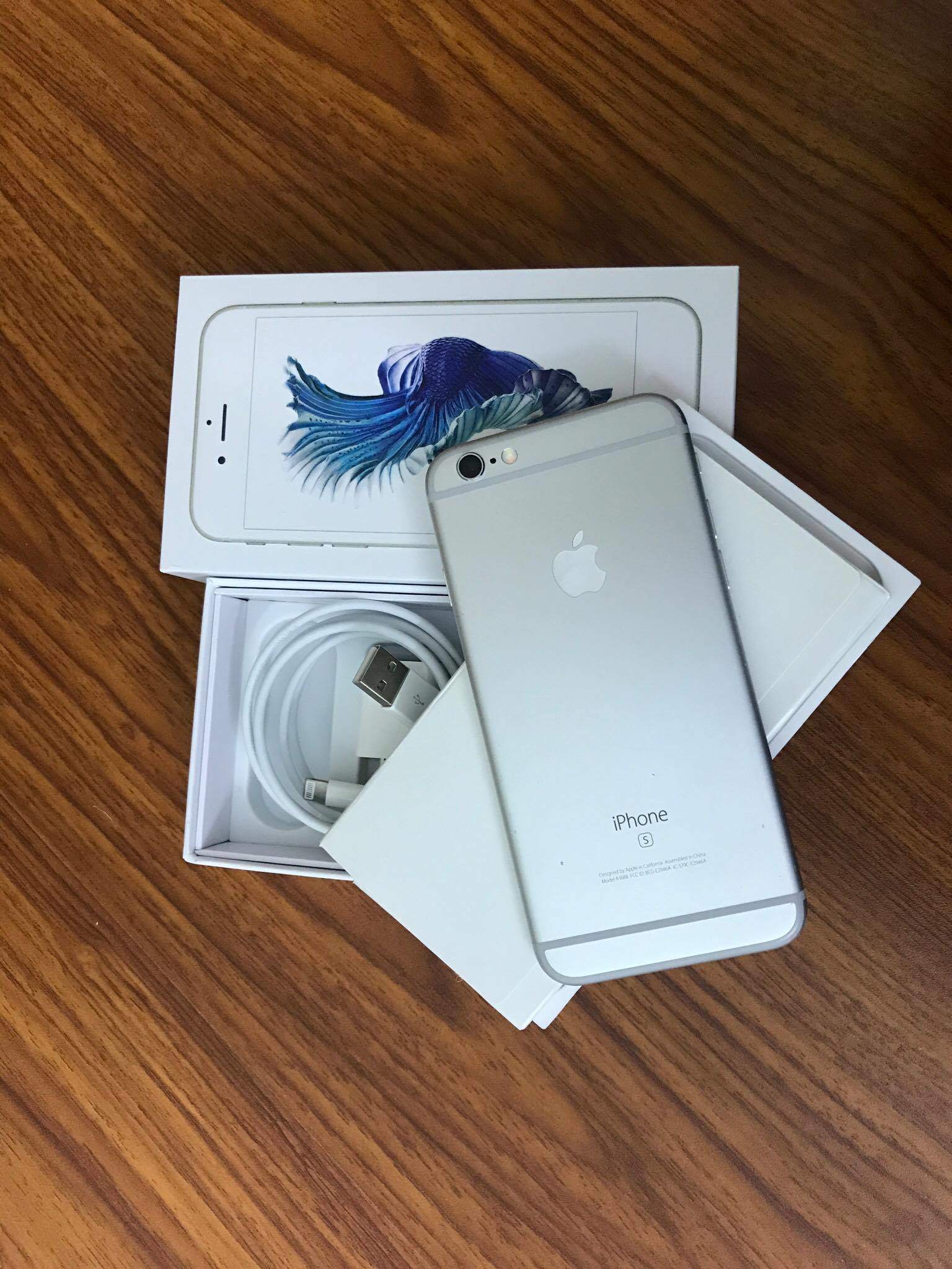 24740047_2021497908125535_1406630250_o.jpg