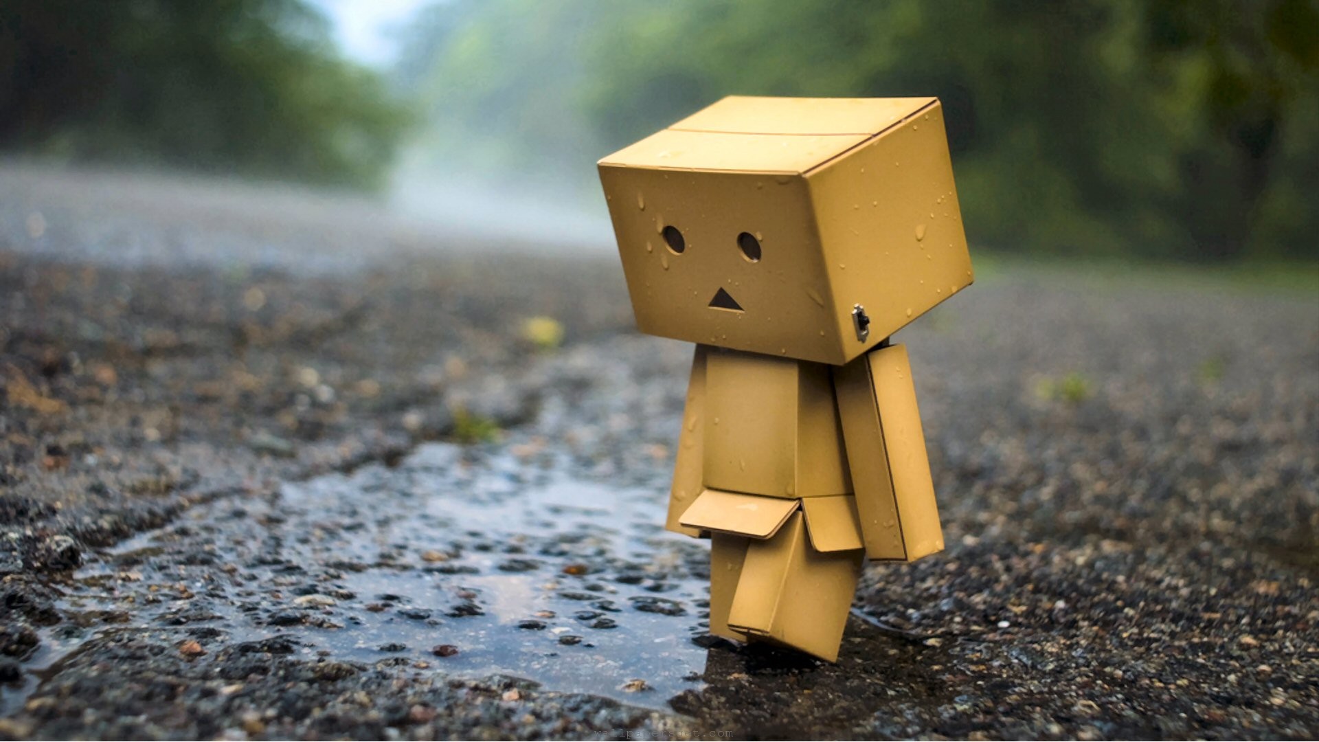 ẢNH DANBO. XEM VÀ ỦNG HỘ NHÉ. ẢNH DANBO. XEM VÀ ỦNG HỘ NHÉ.