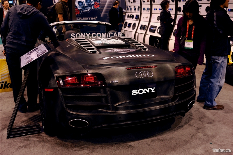 R8 (18).jpg