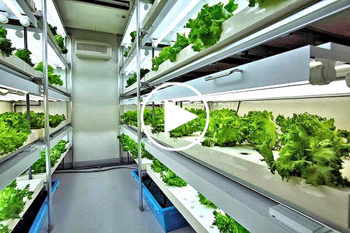 prefab-garden-greenhouse-housing-complex-daiwa.jpg
