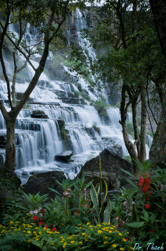 DSC_5001.JPG