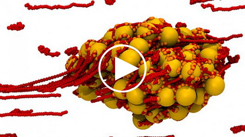 mit-clot-resized.jpg