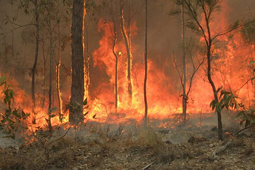 Bush_fire_at_Captain_Creek_central_Queensland_Australia..jpg