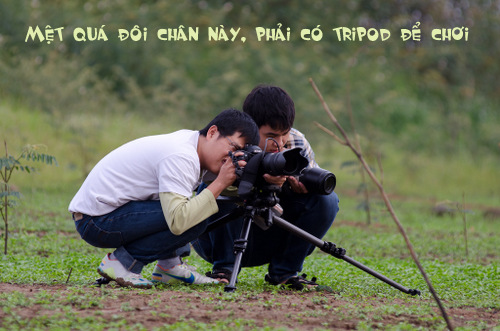 Camera tinh te tripod.JPG