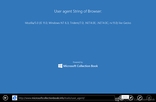 User_Agent_Internet_Explorer_11.jpg