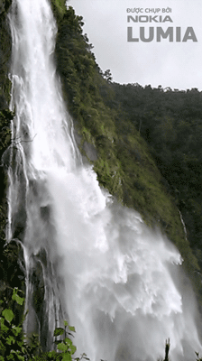 anh-du-thi-1374468397edited.gif