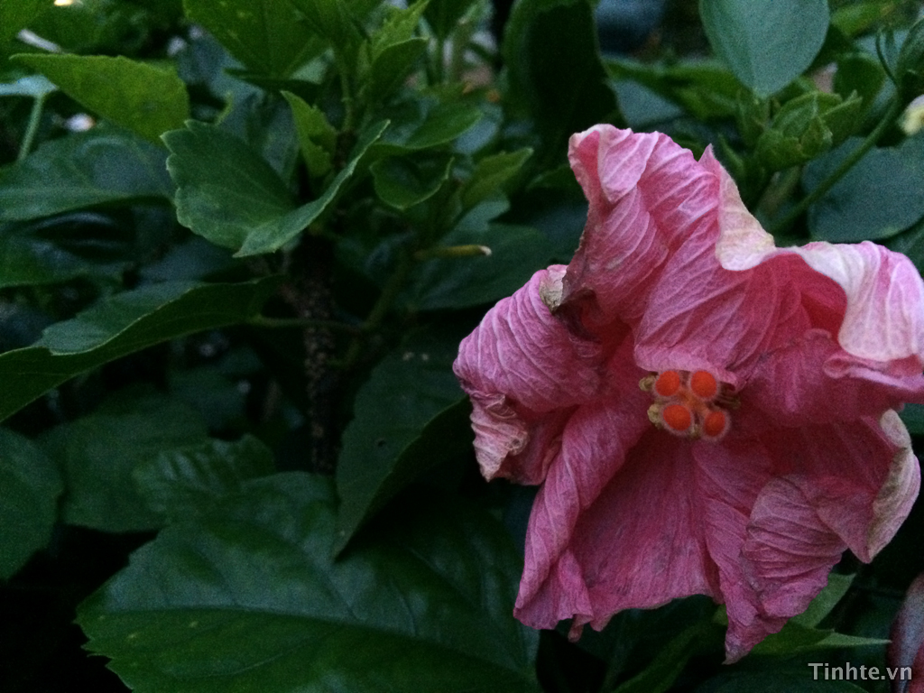 2013-iPhone5s-1709.jpg