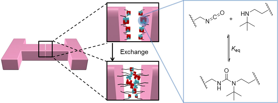 polymer_tu_phuc_hoi_02.jpg