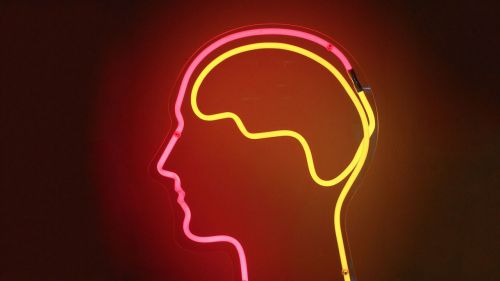 glass-brain.jpg