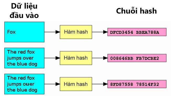 Hash_thuat_toan.jpg