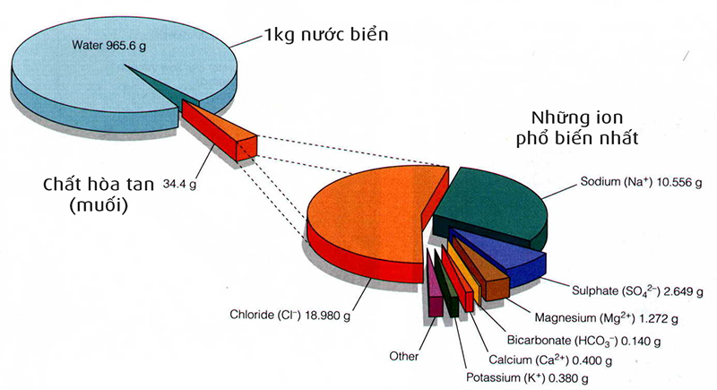 thanh_nuoc_bien.jpg