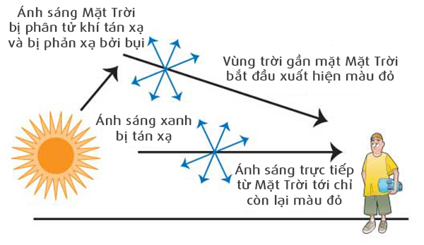 Ánh Sáng Tán Xạ Là Gì? Tìm Hiểu Hiện Tượng Khoa Học Thú Vị