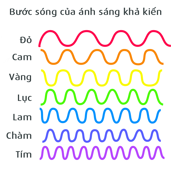 buoc_song_anh_sang.jpg