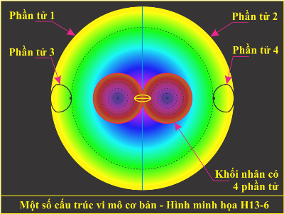 Chan tuong cua Vu Tru H13-6.png