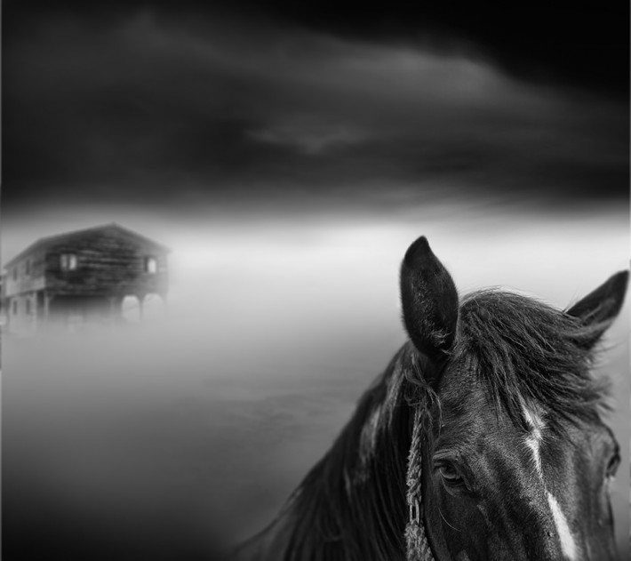 Tangoulis-Misty-Scapes-4-710x631.jpg