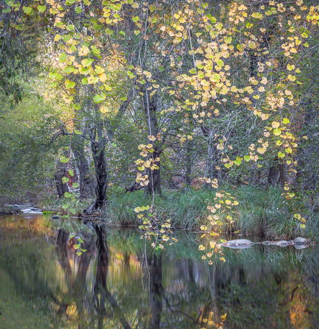 Beaver-Creek-Red-Rock-Fall-2012-015-2-Edit-Edit-2.jpg