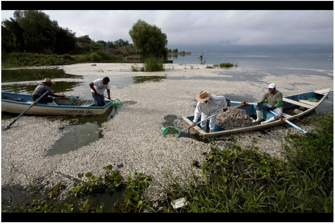 tinhte-the-gioi-thang-9-2014 (10).png