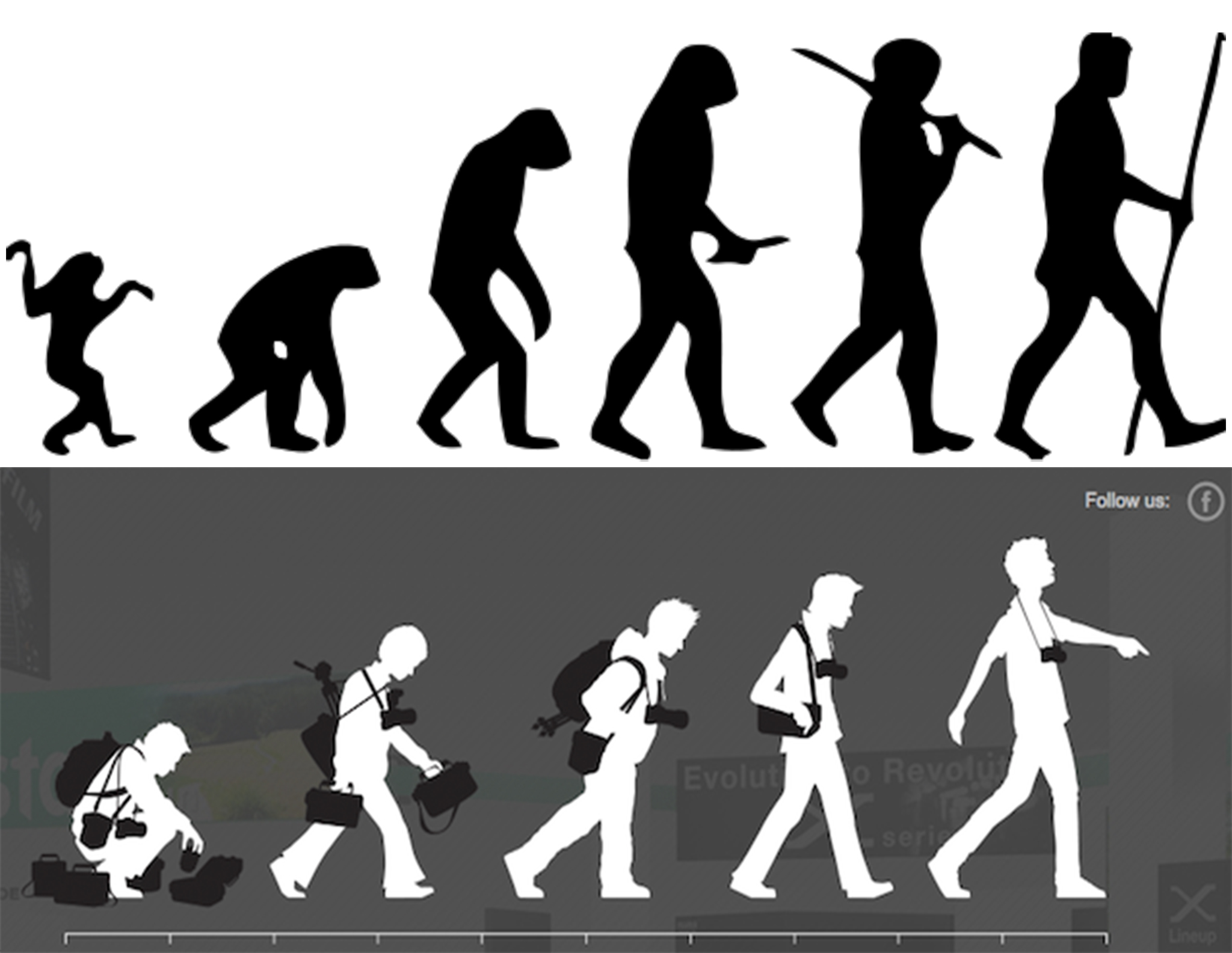 Human_evolution_scheme.jpg