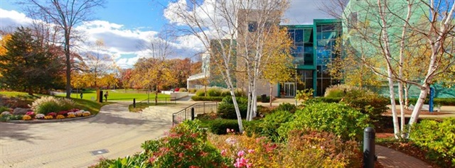 Brandeis University (5).jpg
