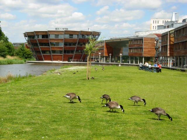University of Nottingham (4).jpg