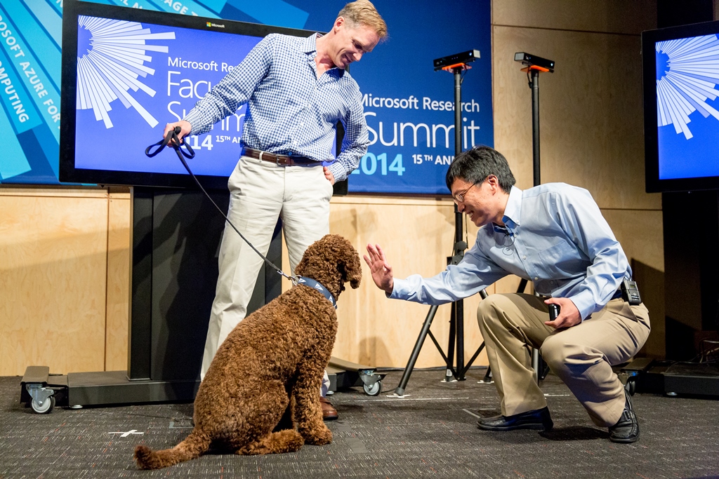 msft-dog-recognition-210.jpg