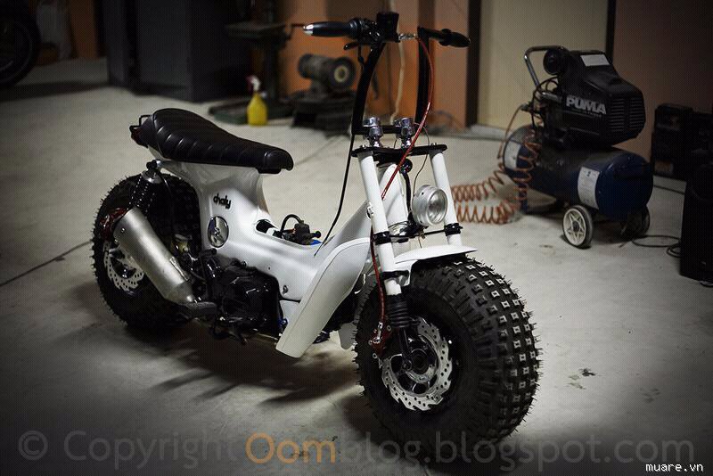 Xe Máy Chaly 50cc Detech  Xe Bảo Nam