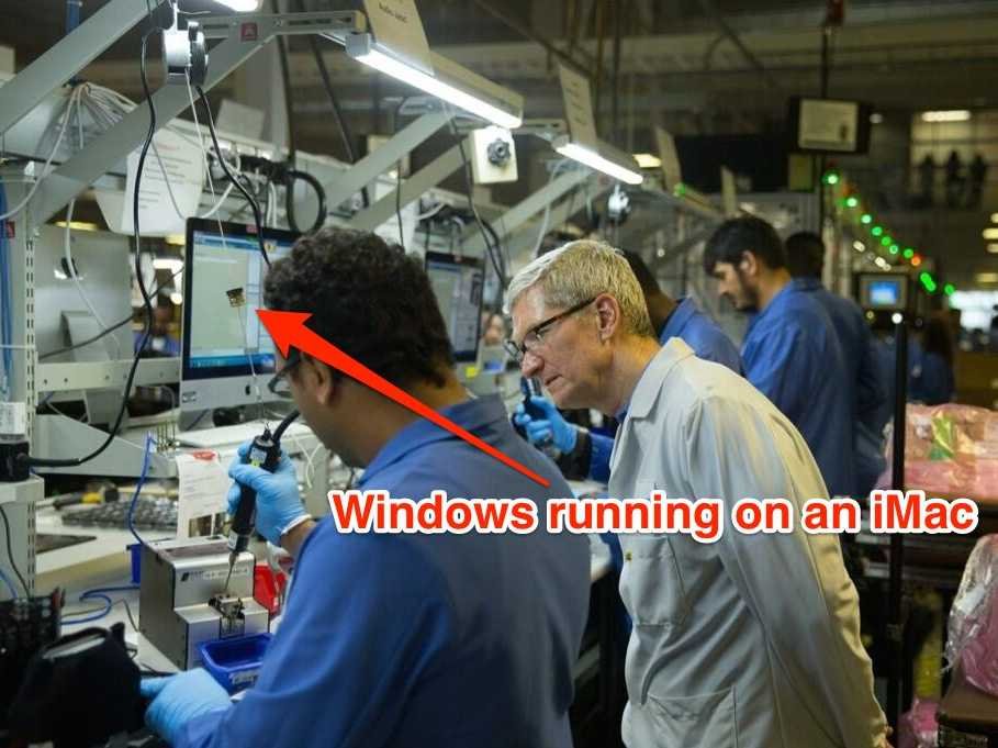 BI-cook-windows.jpg