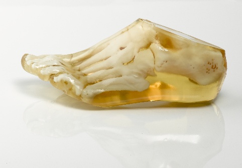 MedicalApplication_482.jpg