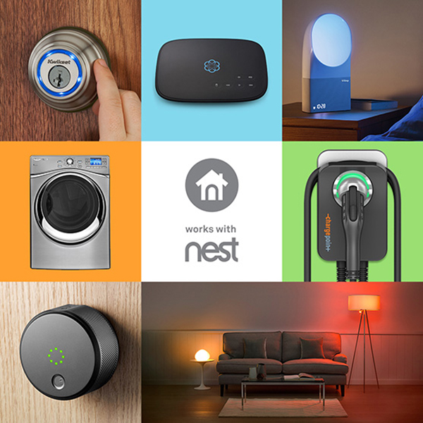 Nest.jpg