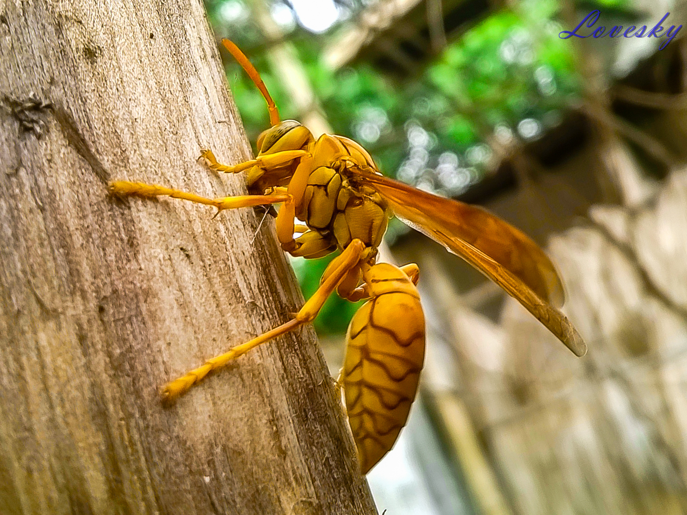 Đang tải 2014_04_12_10_17_35_ProShot.jpg…