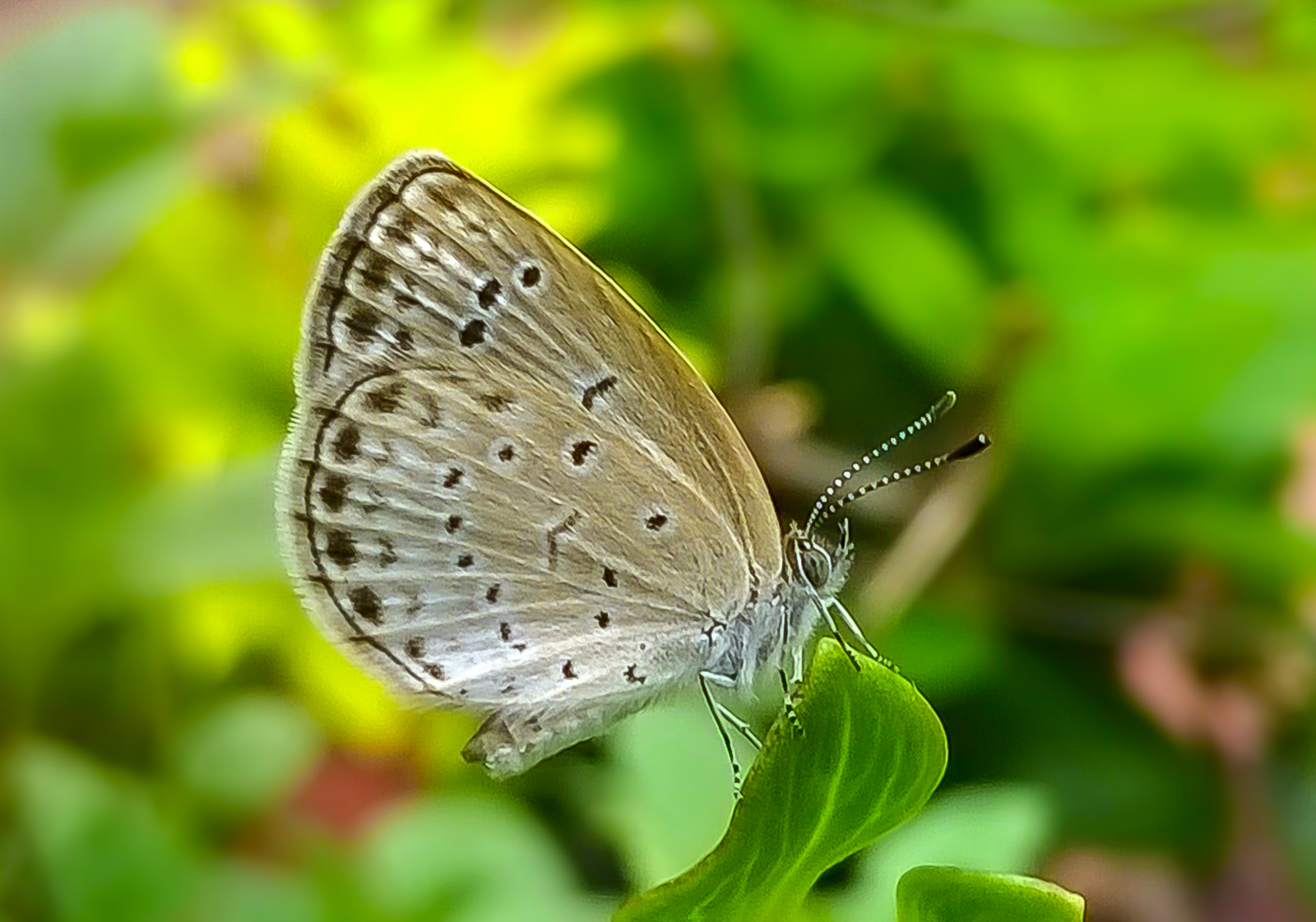 Đang tải 2014_05_08_17_17_22_ProShot.jpg…