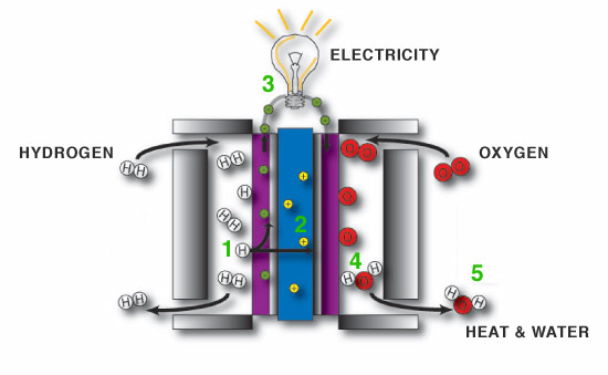 Fuel_cell.jpg