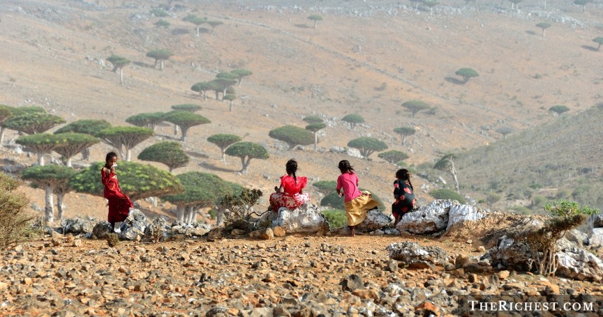 shutterstock_Socotra-Island1.jpg