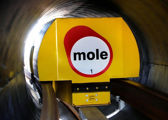 mole-solutions-freight.jpg