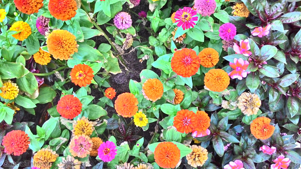 P_20150308_063136_HDR.jpg