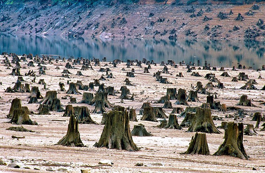 20-shocking-photos-of-humans-slowly-destroying-planet-earth-12.jpg
