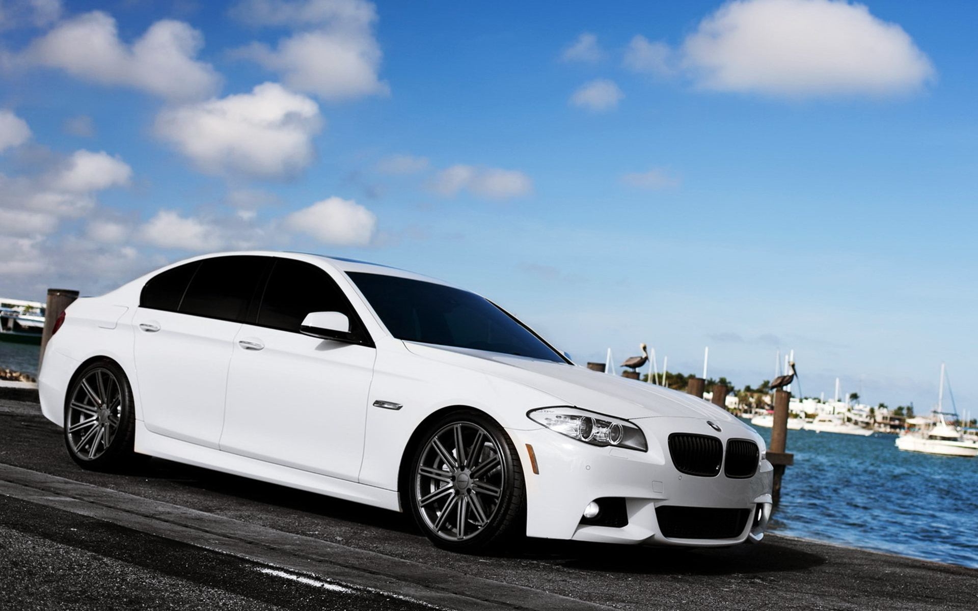 WowWindows8-BMW 5 Series White F10 Wallpaper_2014.jpg